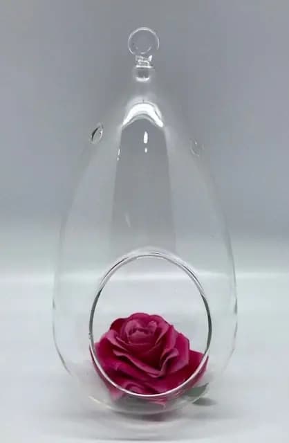 PECERA GOTA VIDRIO PERA 29CM 930