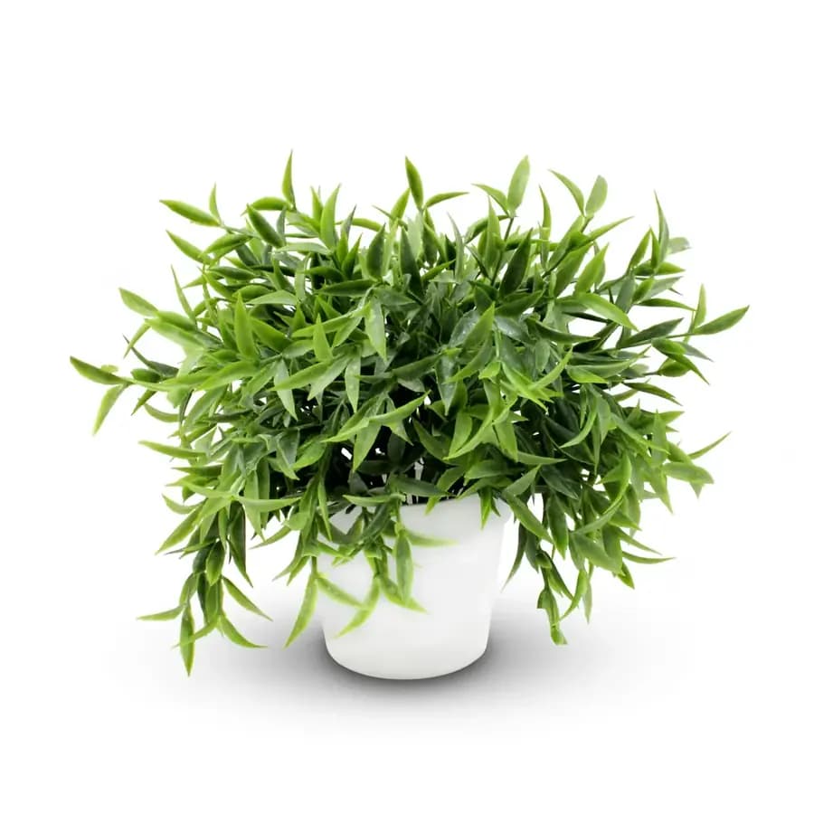 PLANTA MACETA METALICA 24 CM 23717