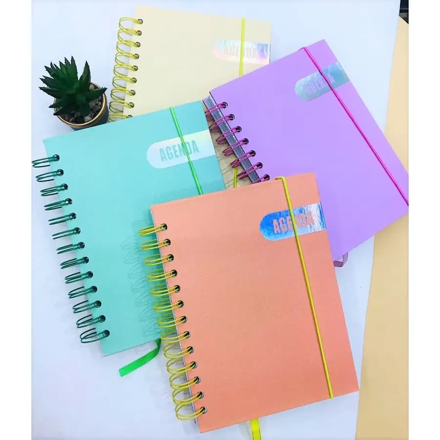 AGENDA PERM. FINA C/ELASTICO 8129