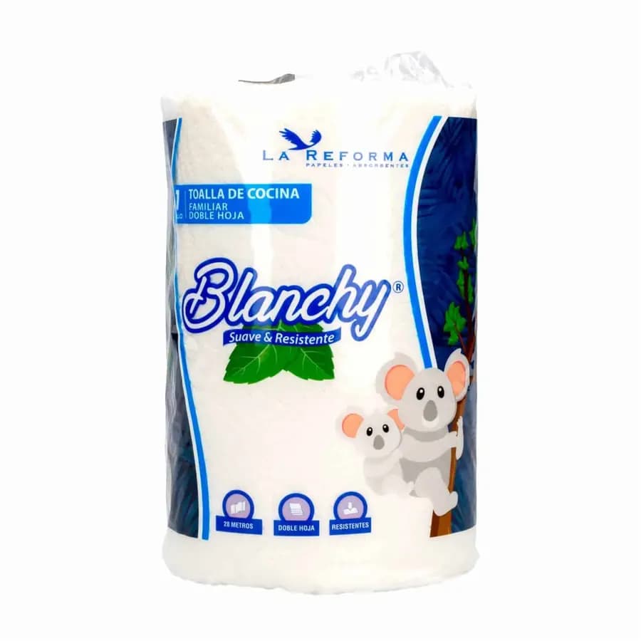 BULTO TOALLA COCINA BLANCHY 20PAQ. X28M 2H